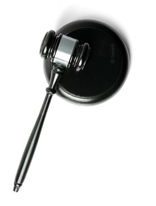 הליכי חקירה ומשפט